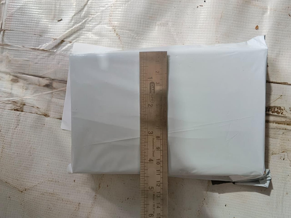 Wonderful Venus Flytrap Seeds (Pack of 1)