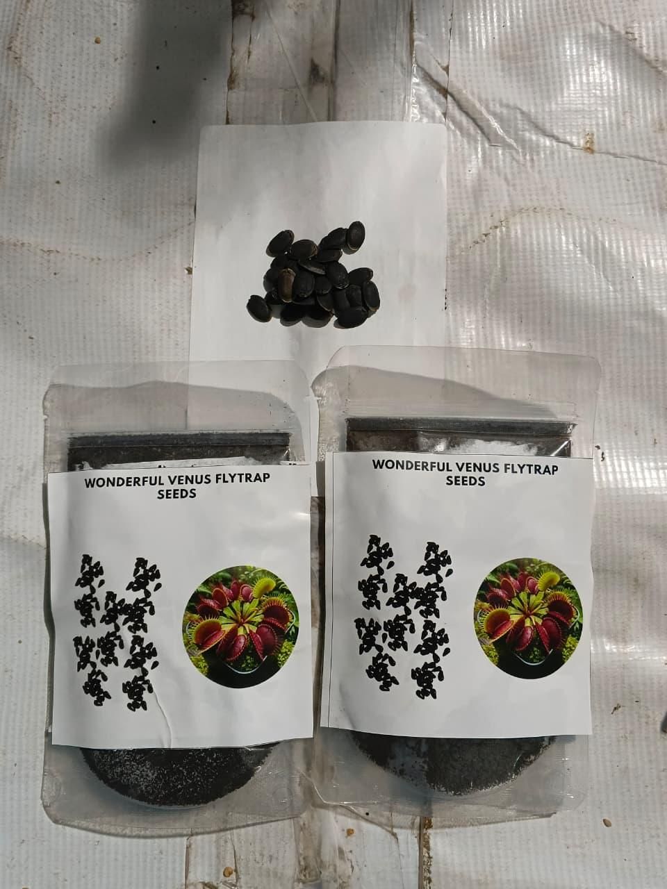 Wonderful Venus Flytrap Seeds (Pack of 1)