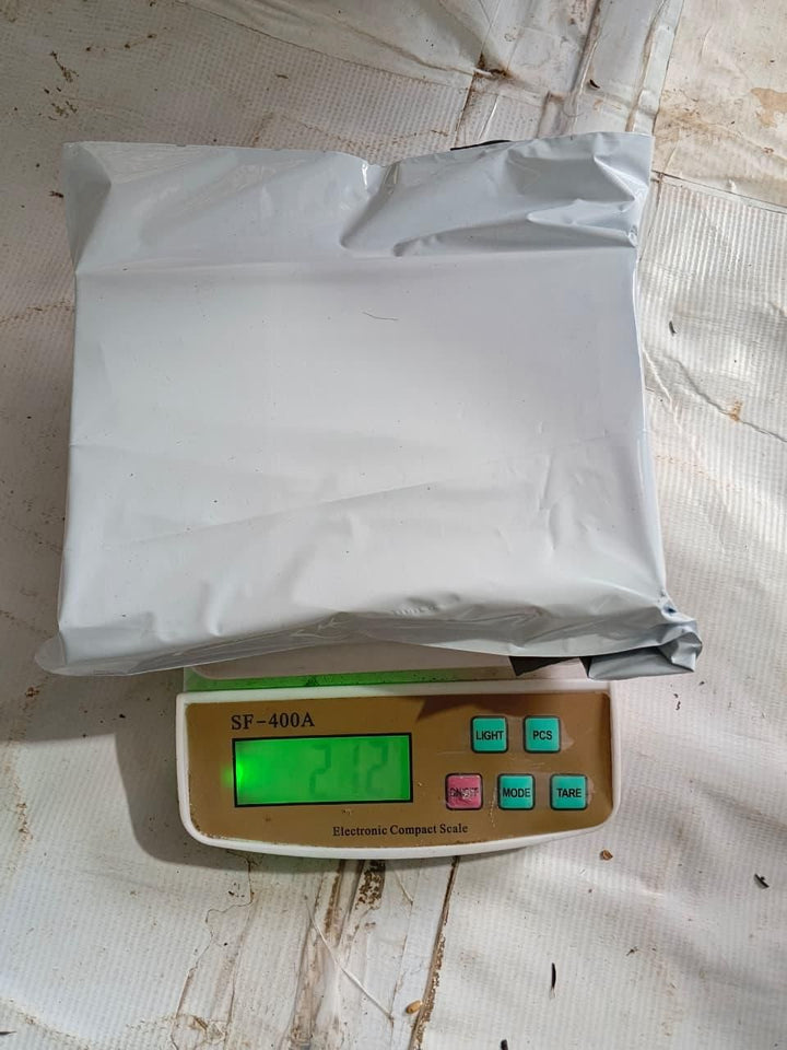 Wonderful Venus Flytrap Seeds (Pack of 1)